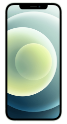 iPhone 12 Grün Frontansicht 1