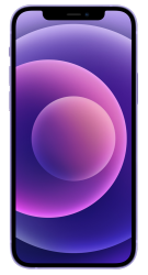 iPhone 12 Violett Frontansicht 1
